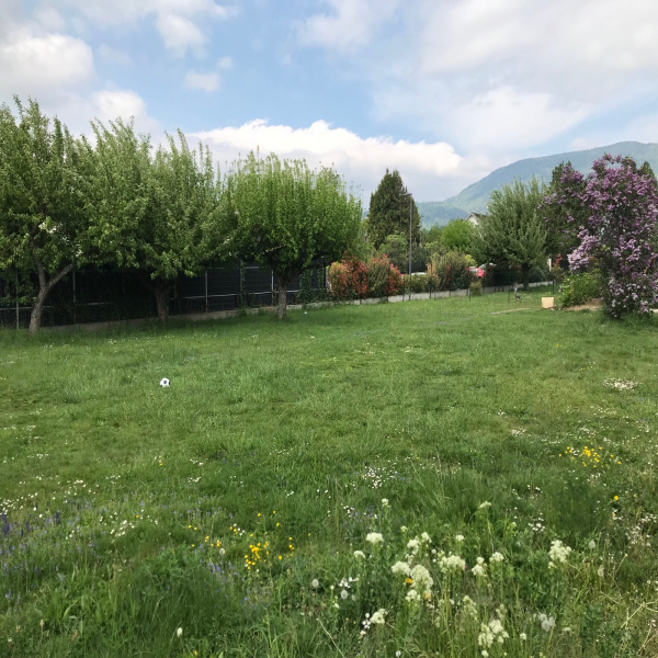 Offres de vente Terrain Divonne-les-Bains 01220
