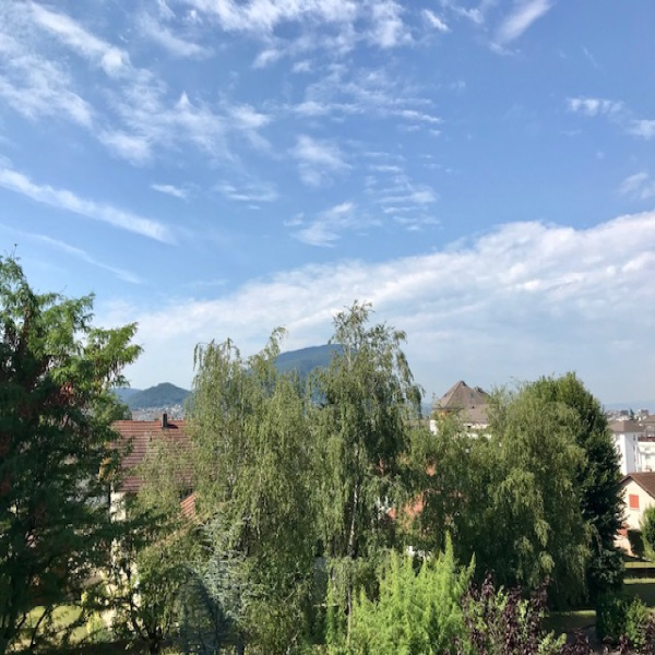 Offres de location Appartement Ville-la-Grand 74100